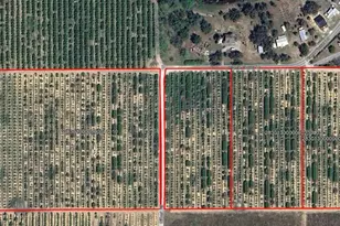 Goldenbough Rd, Lake Wales, FL 33898 - Photo 1