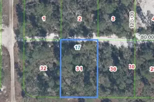 556 Parakeet Ave, Sebring, FL 33872 - Photo 1