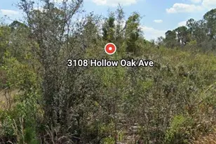 3108 Hollow Oak Ave, Lake Placid, FL 33852 - Photo 1