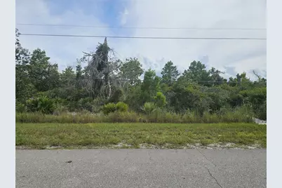 1009 Lotus Street, Lake Placid, FL 33852 - Photo 1