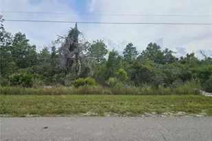 1009 Lotus St, Lake Placid, FL 33852 - Photo 1