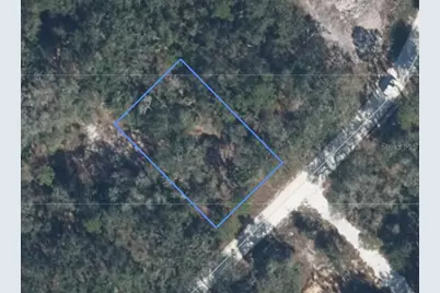 852 Violet Drive, Lake Placid, FL 33852 - Photo 1