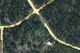 Ocala Dr, Alford, FL 32420 - Photo 1