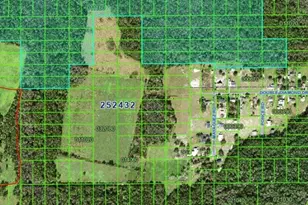 Double Diamond Dr, Polk City, FL 33868 - Photo 1