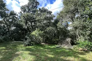 0 Rifle Range Rd, Winter Haven, FL 33880 - Photo 1