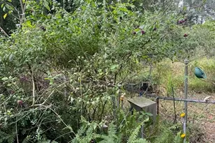 1051 Macon Rd, Winter Haven, FL 33884 - Photo 1