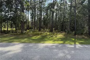 Limpkin Ln, Frostproof, FL 33843 - Photo 1