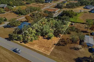 1830 Golfview Cutoff Rd, Babson Park, FL 33827 - Photo 1