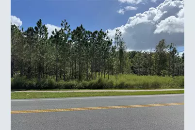 Fishermans Road, Paisley, FL 32767 - Photo 1
