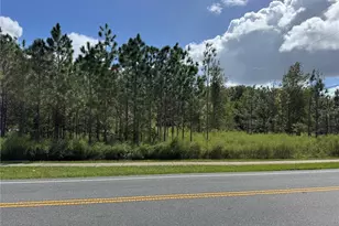Fishermans Rd, Paisley, FL 32767 - Photo 1