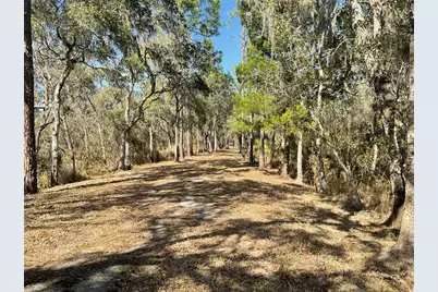 4051-3803 Dixiana Drive, Bowling Green, FL 33834 - Photo 1