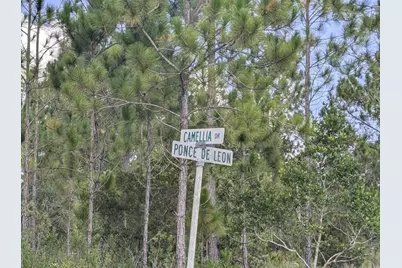 401 Camellia Drive, Indian Lake Estates, FL 33855 - Photo 1