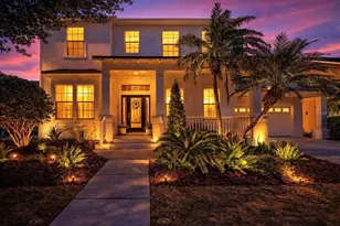 5248 Brighton Shore Dr, Apollo Beach, FL 33572 - Photo 1