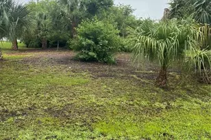 23084 August Ave, Port Charlotte, FL 33954 - Photo 1