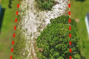 377 Sunshine Ave, Lake Placid, FL 33852 - Photo 1