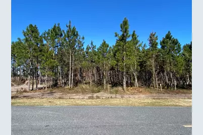 2988 SW Cr 534, Mayo, FL 32066 - Photo 1