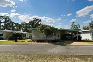 334 Palo Verde Dr, Leesburg, FL 34748 - Photo 1