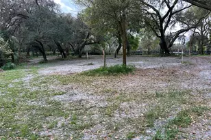 Chameleon Rd, Pierson, FL 32180 - Photo 1