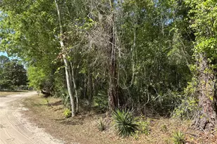 Airport Rd, Astor, FL 32102 - Photo 1