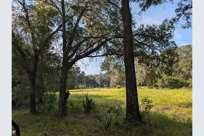 Ne 127th, Fort Mc Coy, FL 32134 - Photo 1