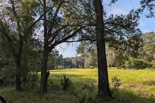 NE 127th, Fort Mc Coy, FL 32134 - Photo 1