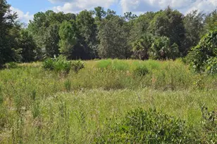 Harper Rd, Pierson, FL 32180 - Photo 1