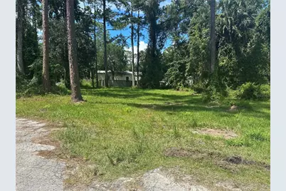 Lisa Street, Astor, FL 32102 - Photo 1