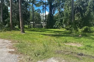 Lisa St, Astor, FL 32102 - Photo 1