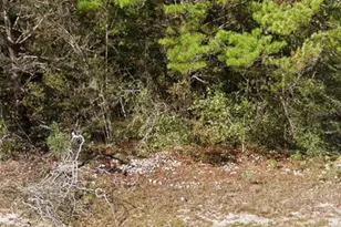 Oxford Ave, Chipley, FL 32428 - Photo 1