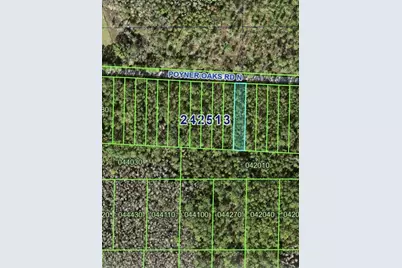 Poyner Oaks Road N, Polk City, FL 33868 - Photo 1