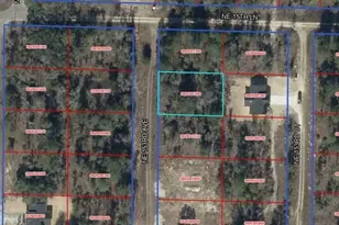 NE 153rd Ave, Williston, FL 32696 - Photo 1