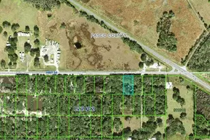 Hwy 54, Kathleen, FL 33849 - Photo 1