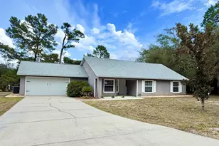 13 Fisher Trl Ter, Ocklawaha, FL 32179 - Photo 1