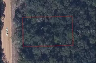 Interlachen Lakes Estates, Palatka, FL 32178 - Photo 1