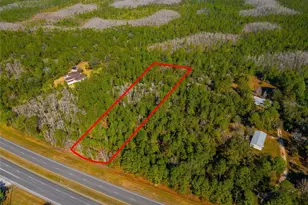 20209 E Colonial Dr, Christmas, FL 32709 - Photo 1