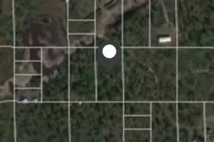 Holopaw Groves Rd, Saint Cloud, FL 34771 - Photo 1