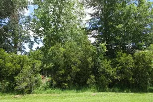 1144 Perpignan Ct, Kissimmee, FL 34759 - Photo 1