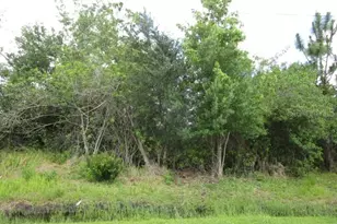 636 Jaguar Ct, Poinciana, FL 34759 - Photo 1