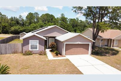 19 Herring Court, Kissimmee, FL 34759 - Photo 1