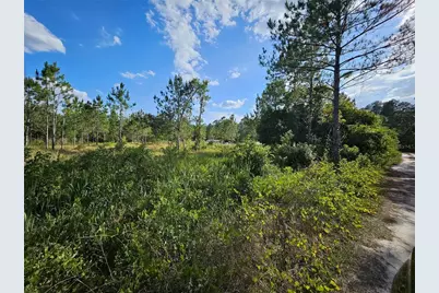 Sr-33, Clermont, FL 34714 - Photo 1