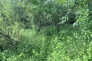 Sweetwater Trail, Kissimmee, FL 34747 - Photo 1