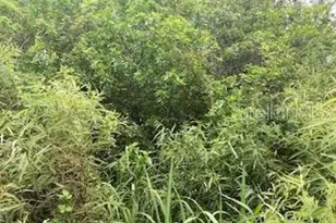 S Goodman Rd, Kissimmee, FL 34747 - Photo 1