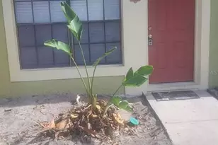 7437 Belle River Ct, Winter Park, FL 32792 - Photo 1