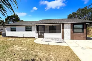 817 Clay Blvd, Eustis, FL 32726 - Photo 1