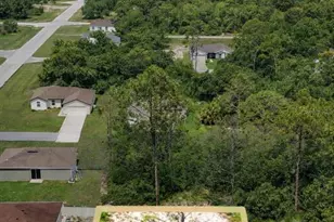 1302 Congo Ct, Kissimmee, FL 34759 - Photo 1
