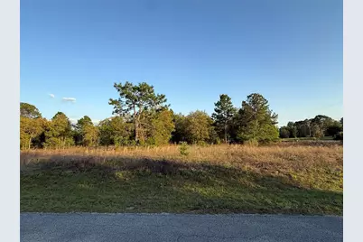 Lot 2 SW 65th Loop, Dunnellon, FL 34432 - Photo 1