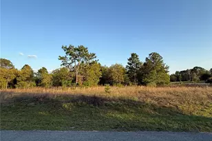 Lot 2 SW 65th Loop, Dunnellon, FL 34432 - Photo 1