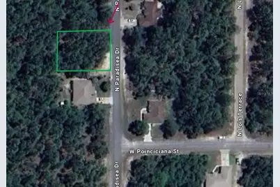9660 N Paradisea Drive, Citrus Springs, FL 34433 - Photo 1