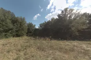 14375 SE 36th Ct, Summerfield, FL 34491 - Photo 1