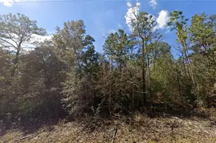 0 Canyon Swallow Rd, Brooksville, FL 34614 - Photo 1